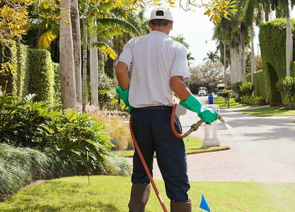 About Grantville KS Pest Control